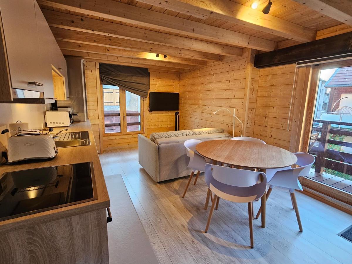 Cozy, Quiet In Town Center - Near Geneva, Annecy, Chamonix, Leman Apartment